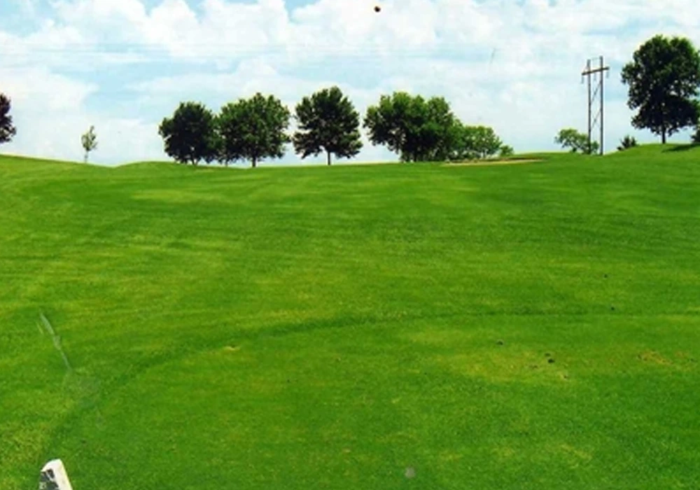 Crofton Hole 8